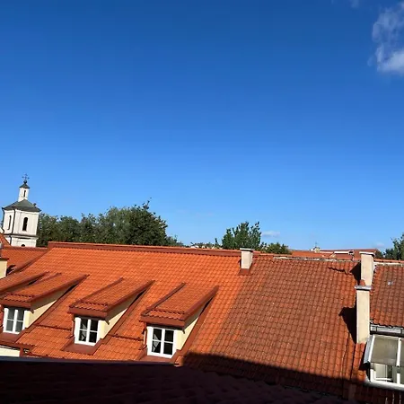 Old Town, Ideal For Workation / Leisurely Get-away アパート ヴィリニュス